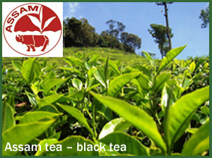 Assam Tea