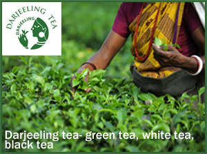 Darjeeling Tea
