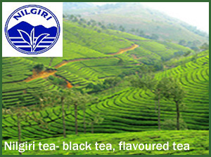 Nilgiri Tea